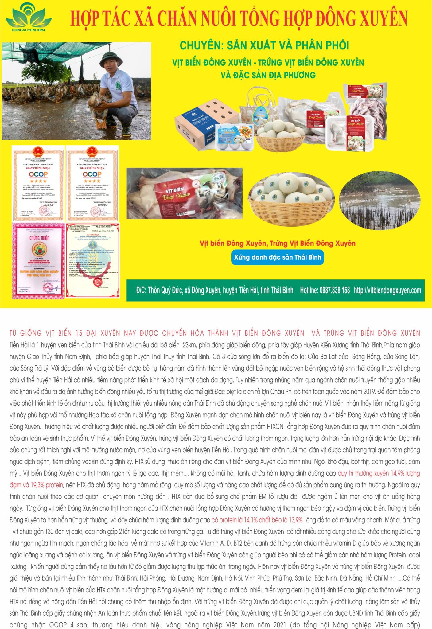 Poster giới thiệu HTX chăn nuôi tổng hợp - xã Đông Tiền Hải (Đông Xuyên cũ)